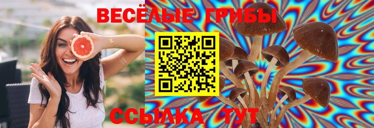Корсаков  Галлюциногенные грибы ЛСД  Вход с VPN 